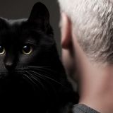 The animal that walked into my life — story collection