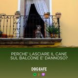 #083 - Perché lasciare il cane sul balcone è dannoso