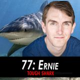 77 - Ernie the Tough Shark