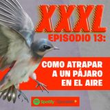 XXXL / Episodio 13