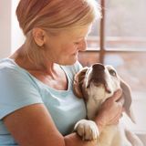Hooper Law Office on Estate Planning for Pets