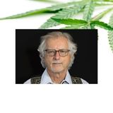 Stephen Gray - How Psychedelics Can Help Save the World Pt 1