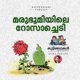 മരുഭൂമിയിലെ റോസാച്ചെടി |  കുട്ടിക്കഥകള്‍ | Malayalam kids stories Podcast