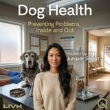 Dog Health - The Mouth Tells All: Why Dental Care Is Your Dog's Secret Health Weapon