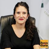 Enero 15, 2025