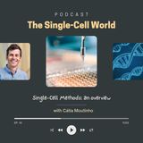 Ep.14: Single-Cell Methods: an overview