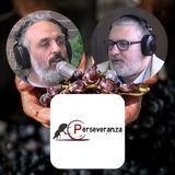 S.2 Ep.19 - PERSEVERANZA e i suoi VINI raccontati da MATTEO VERRI