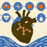 Resveratrol Benefits for Heart Health: Unlock the Longevity Protein and Avoid Dosing Mistakes