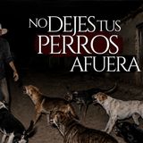 NO DEJES A TUS PERROS AFUERA (3 RELATOS DE TERROR REAL EN PUEBLOS PARA NO DORMIR)