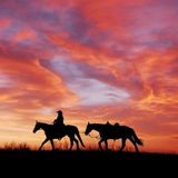 #55 - Wyoming & Montana, viaggio nel Cowboy State!