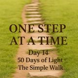 Day 14 – One Step at a Time