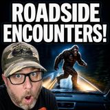 Something Massive Ran In Front of His Car!