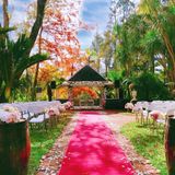 Solo Soiree: Saying "I Do" in a Garden Wedding Venue