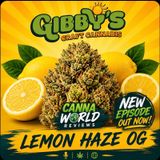 Canna World Reviews: Lemon Haze OG The Honest Take | Gibby’s Craft Cannabis