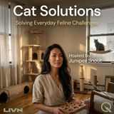 Cat Solutions - Outsmarting the Furniture Shredder