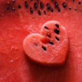 Watermelon Lifestyle