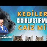 Kedileri Kısırlaştırmak Caiz Midir   AHMET KURUCAN