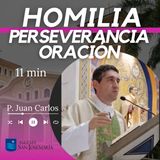 HOMILIA: Perseverancia oración y vocación (11 min)