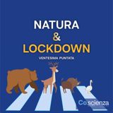 Natura & Lockdown (Ventesima Puntata)