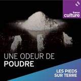 Une odeur de poudre 6/7 : Sniffer en travaillant