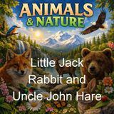 Little Jack Rabbit and Uncle John Hare - David Cory