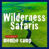 Wilderness Safaris Mombo Camp Live Interview!