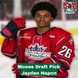 Halifax Mooseheads Draft Pick Jayden Napon