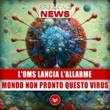 L'OMS Lancia L'Allarme: Il Mondo Non È Pronto A Questo Virus!