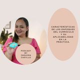 Caracteristicas del enfoque del curriculo.