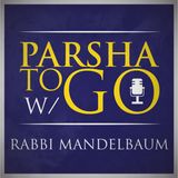 Parshat Bamidbar-The Rebbe of Klal Yisrael