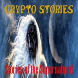 Crypto Stories | Interview with Eric Altman | Podcast