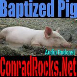 Baptizing Pigs