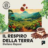 Ep.3 - Il chicco di caffè