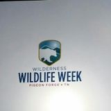 Pigeon Forge TN Wilderness Wildlife Week