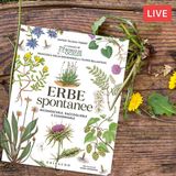Riconoscere le erbe spontanee di primavera. Con Wateki Taliana Tobert 🔴