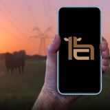 #167 - Texas Cattle Rancher Designs Award Winning Mobile App