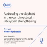 Addressing the elephant in the room: investing in lab system strenghtening