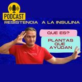 ¿Tu Cuerpo Ignora la INSULINA? 4 Plantas que Pueden Cambiarlo | Guía de plantas medicinales