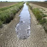 Crisi idrica, ordinanza di Zaia per “sensibilizzare i cittadini”. Le opposizioni: “Troppo poco e tardi”