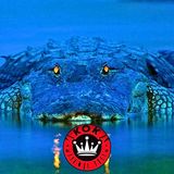 #33 Los 10 Reptiles Más Peligrosos del Mundo | Aterrados por KoK