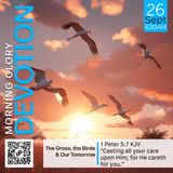 MGD: The Grass, the Birds & Our Tomorrow