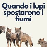 186 - Echi Naturali: Quando i lupi spostarono i fiumi