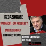 REDAZIONALE - Vannacci : cui prodest ?