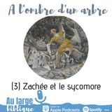 #174 A l'ombre d'un arbre (3) Zachée et le sycomore (Lc 19)