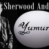 YUMURTA  Sherwood Anderson sesli öykü kitap tek parça