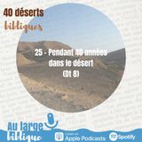#42 Désert 25 - Pendant quarante années dans le désert (Dt 8)