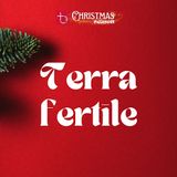 Terra fertile | A. Taliento