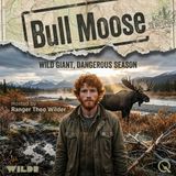 Bull Moose - Venture into the wild with Ranger Theo Wilder