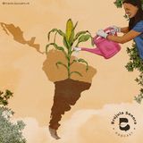 Vuelve Brújula Sonora