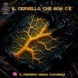 🎙️Fuori Scala #017 - “Il cervello che non c’è” -